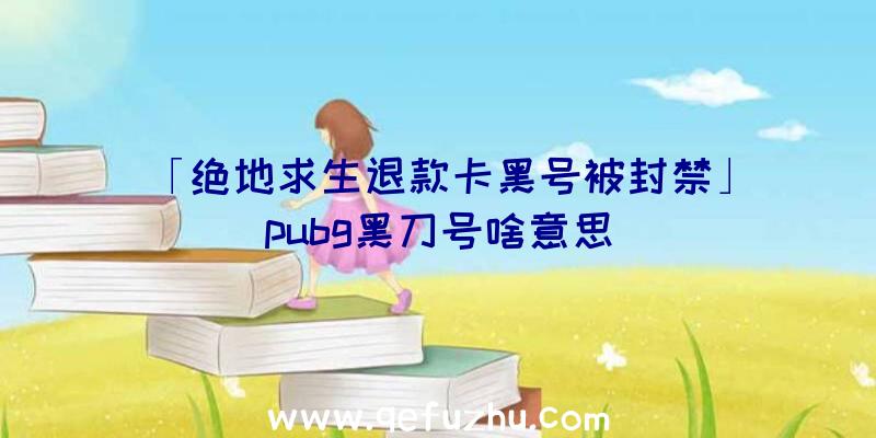 「绝地求生退款卡黑号被封禁」|pubg黑刀号啥意思